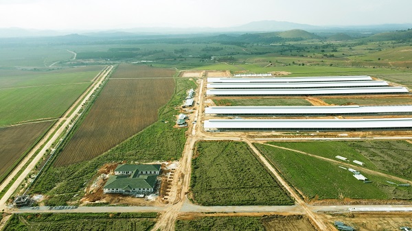 Hình 2 (2)